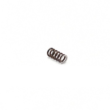 Eemann_Tech_Extreme_Extractor_Spring_for_CZ_75-ET-131153_02.jpg